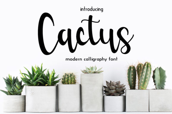 Cactus Font: Elevating Web Design with Handwritten Style