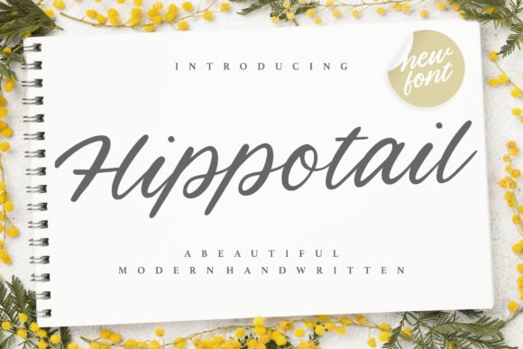 Hippotail: A Designer’s Honest Review