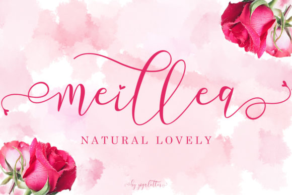 Meillea: A Designer’s Honest Review for Real Projects