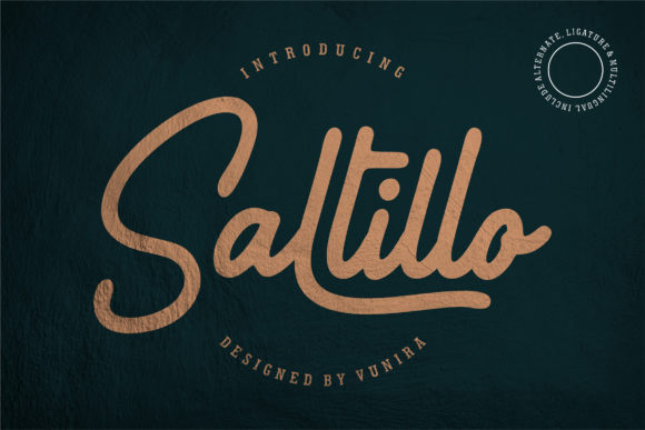 Saltillo: A Handwritten Font for Polished Branding